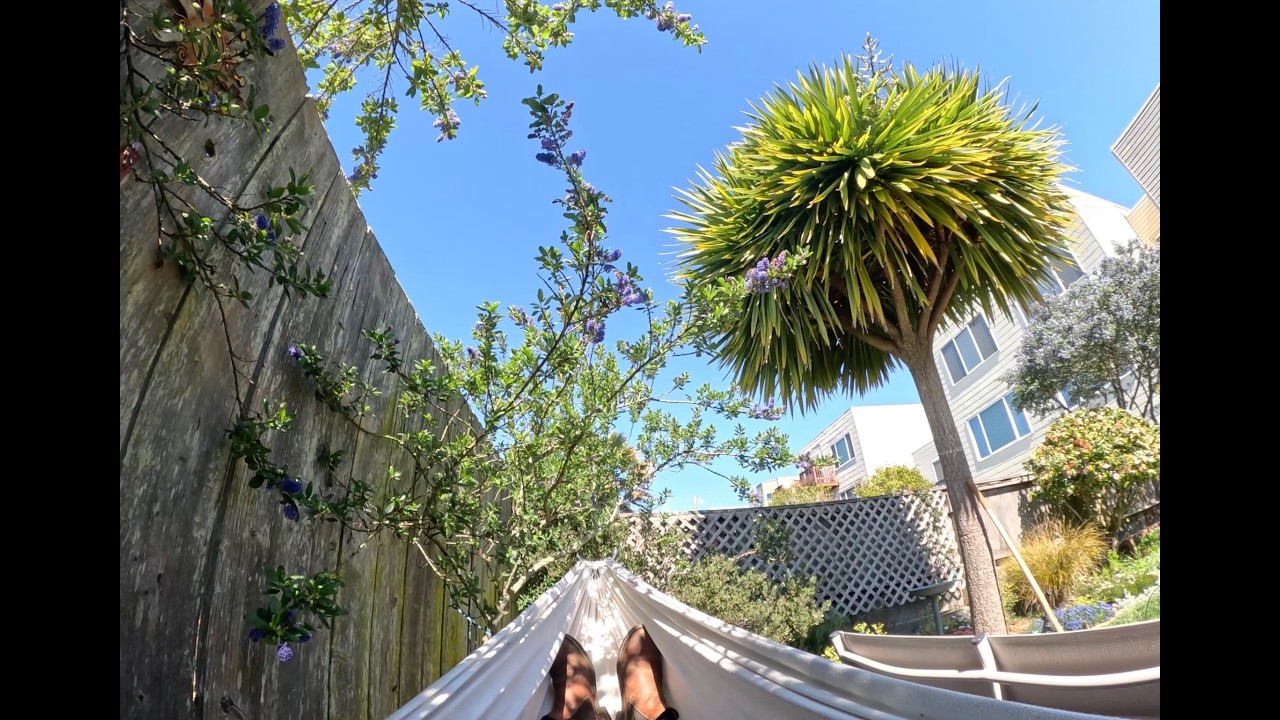 SF Richmond District Gardening POV