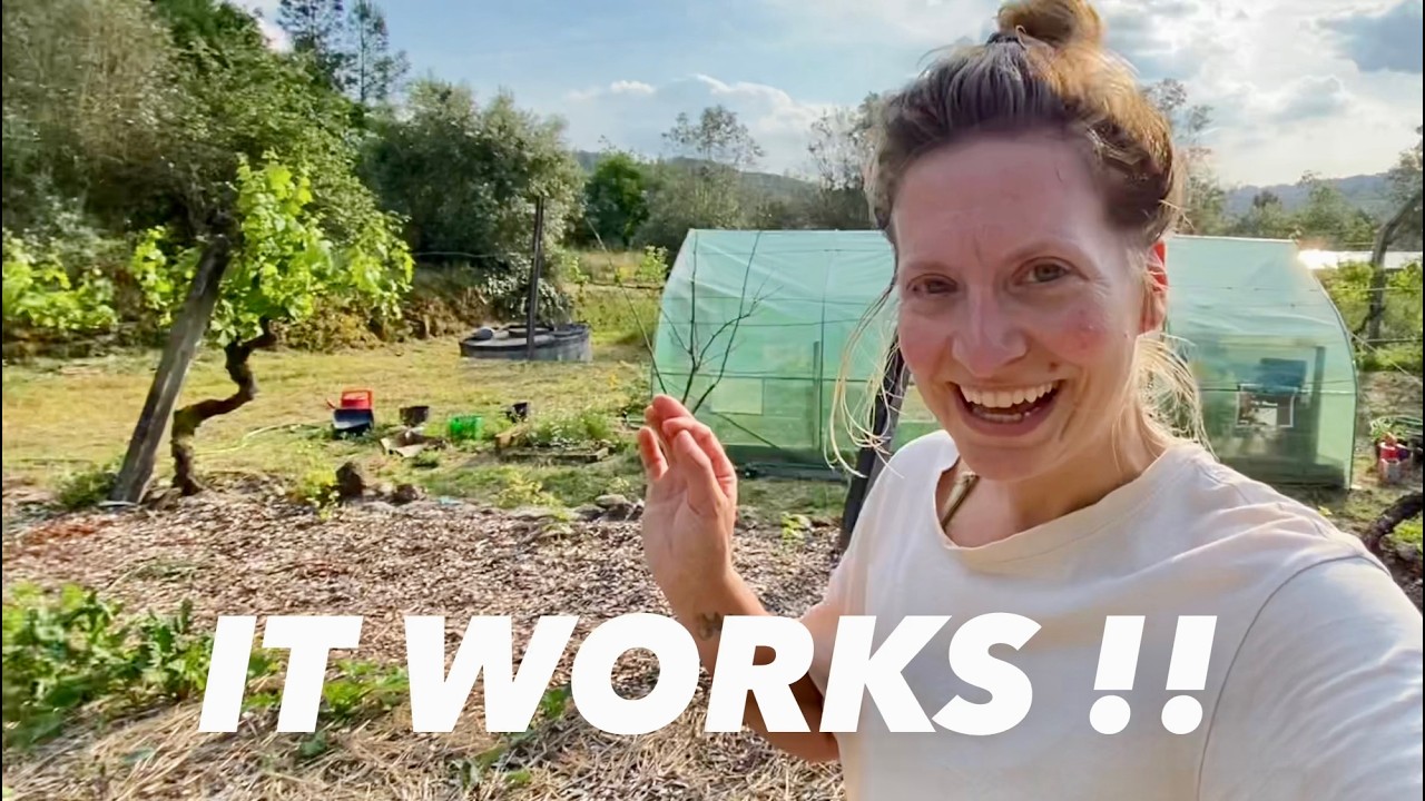 No Power, No Problem | Off-Grid Watering System Done ✅