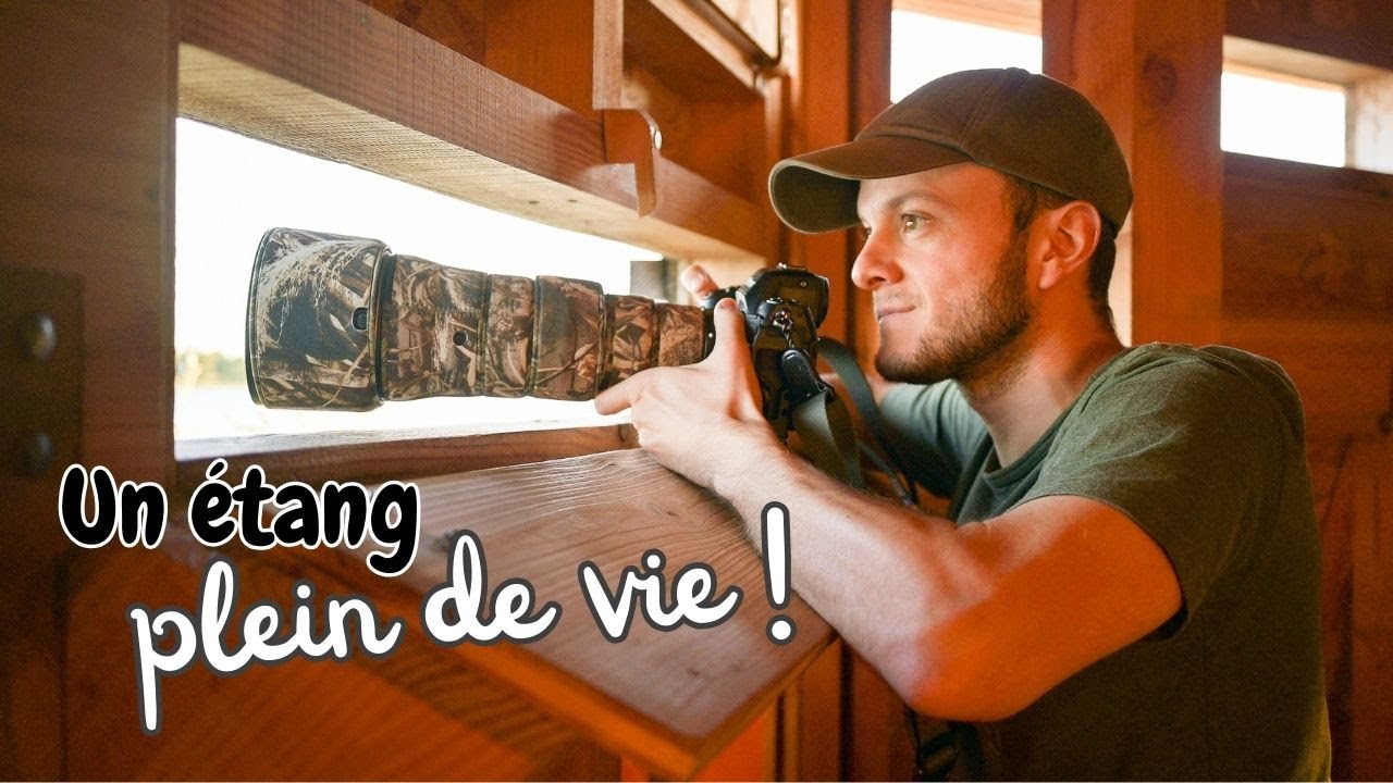 Photo Animalière dans la Dombes | Tant d'Oiseaux !
