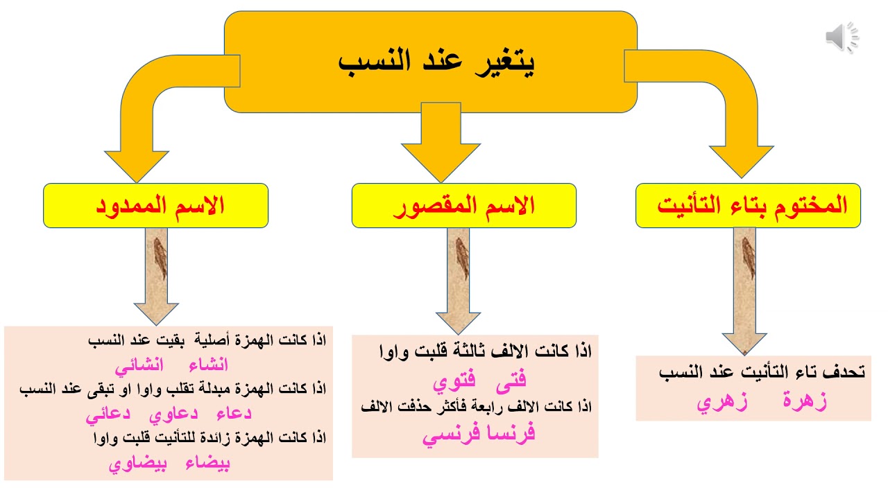 النسب