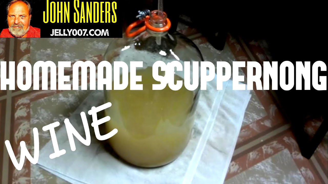 Homade Scuppernong Muscadine Wine home made delicious  HOW-TO-VIDEO