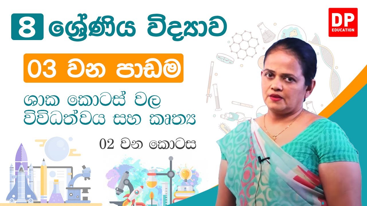 03 වන පාඩම (ශාක කොටස් වල විවිධත්වය සහ කෘත්‍ය - 02 කොටස | අභ්‍යාස) 08 වන ශ්‍රේණිය විද්‍යාව