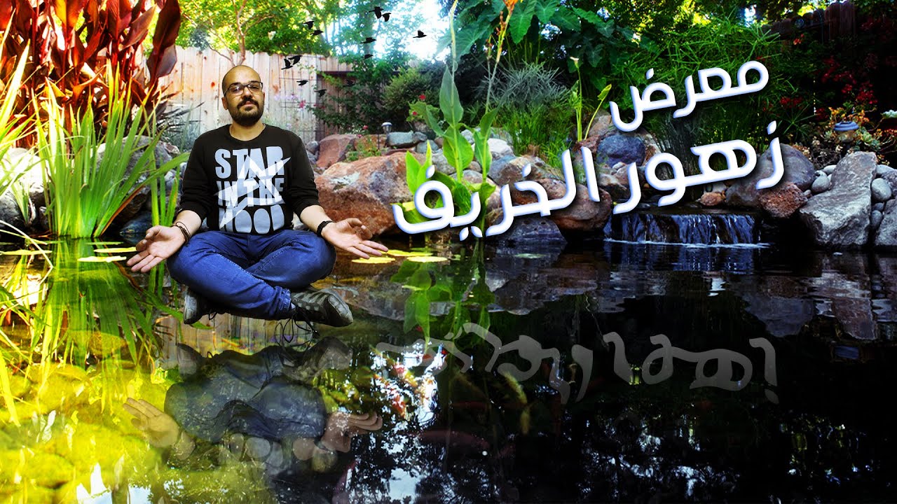 زرع في مية - تغطية لمعرض زهور الخريف 2019