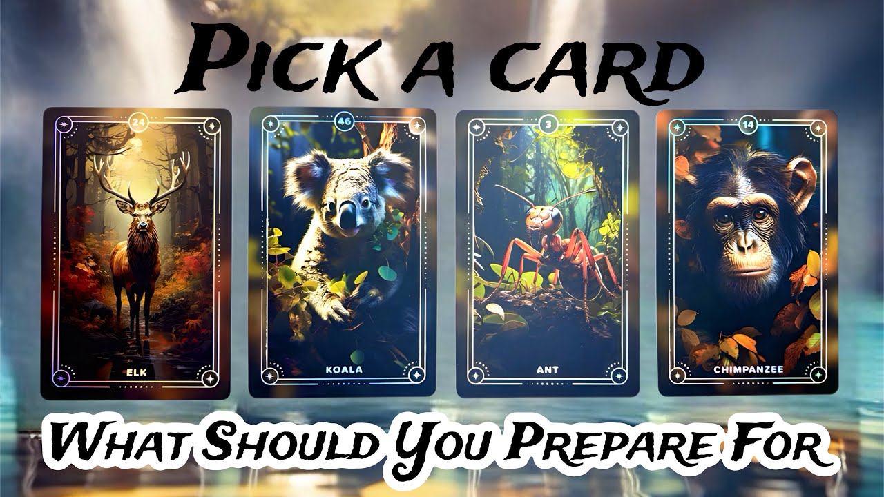 🦋What Should You Prepare For 🦋 PICK A CARD TAROT general reading #tarot #pickacard #tarotreading