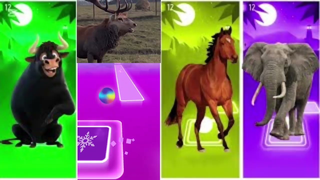 Funny Ferdinand🐃🆚Funny dear🐃🆚🐘 🆚FunnyHorse🐎🆚Funny Rhinoceros🦏