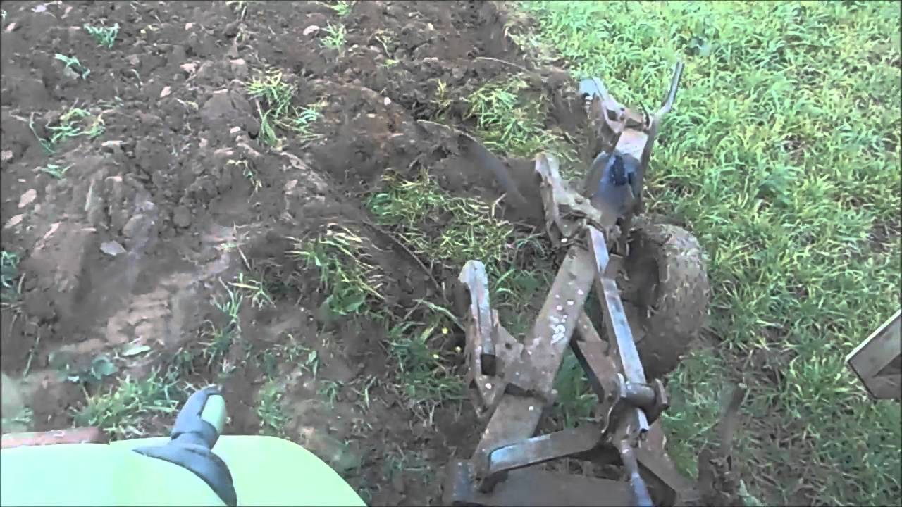 Claas Celtis 456rx- orba