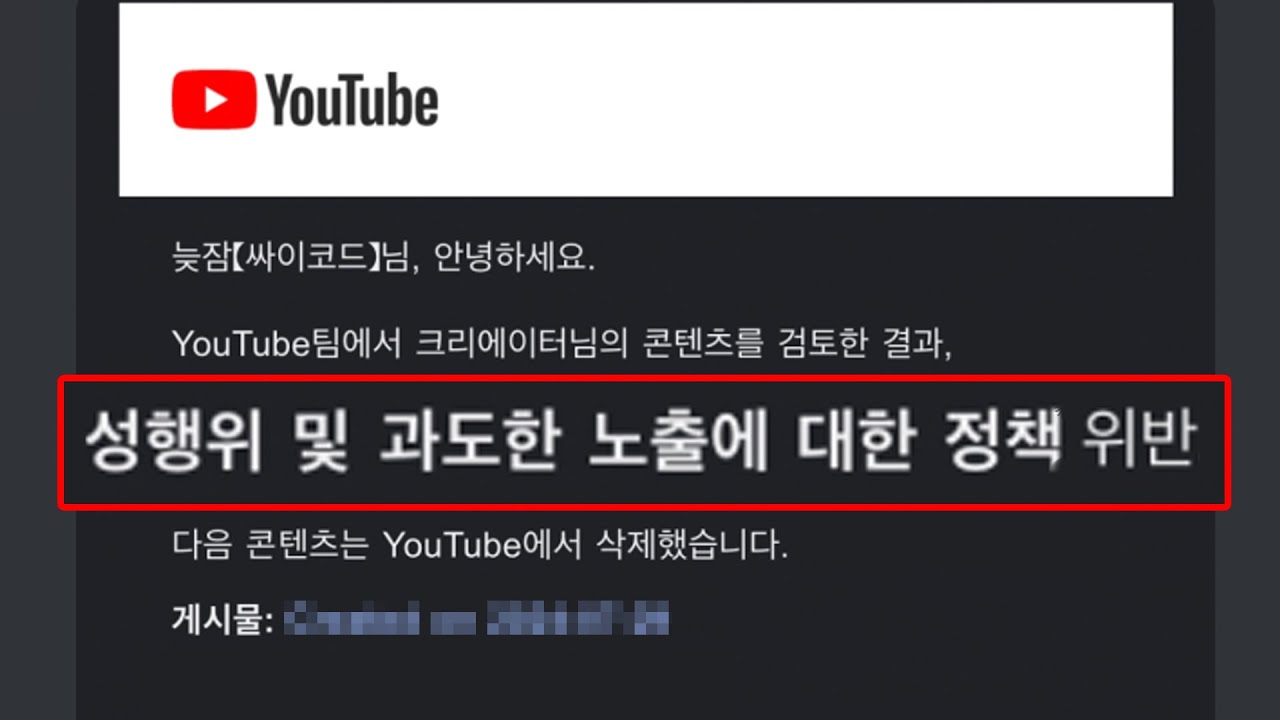 [ENG SUB] 유튜브 삭제될 뻔했습니다