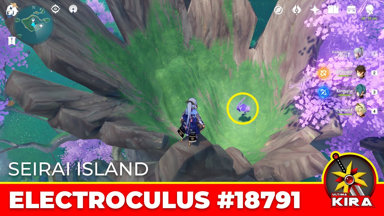 ELECTROCULUS #18791 - SEIRAI ISLAND