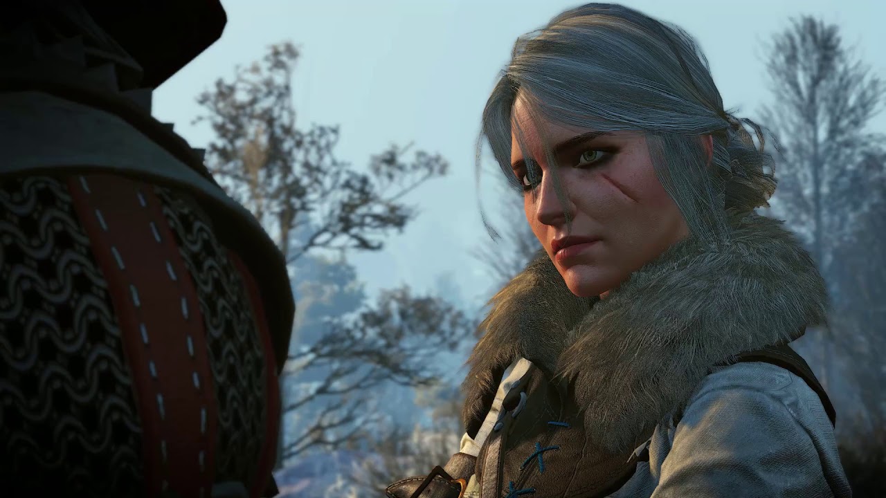 The Witcher 3 Fin : Criri impératrice du Nilfgaard