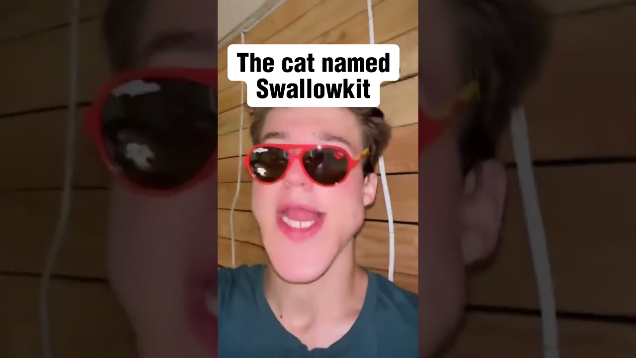 Names of Warrior Cats... #meme #speedmcqueen #foryou #warriorcats  #trending
