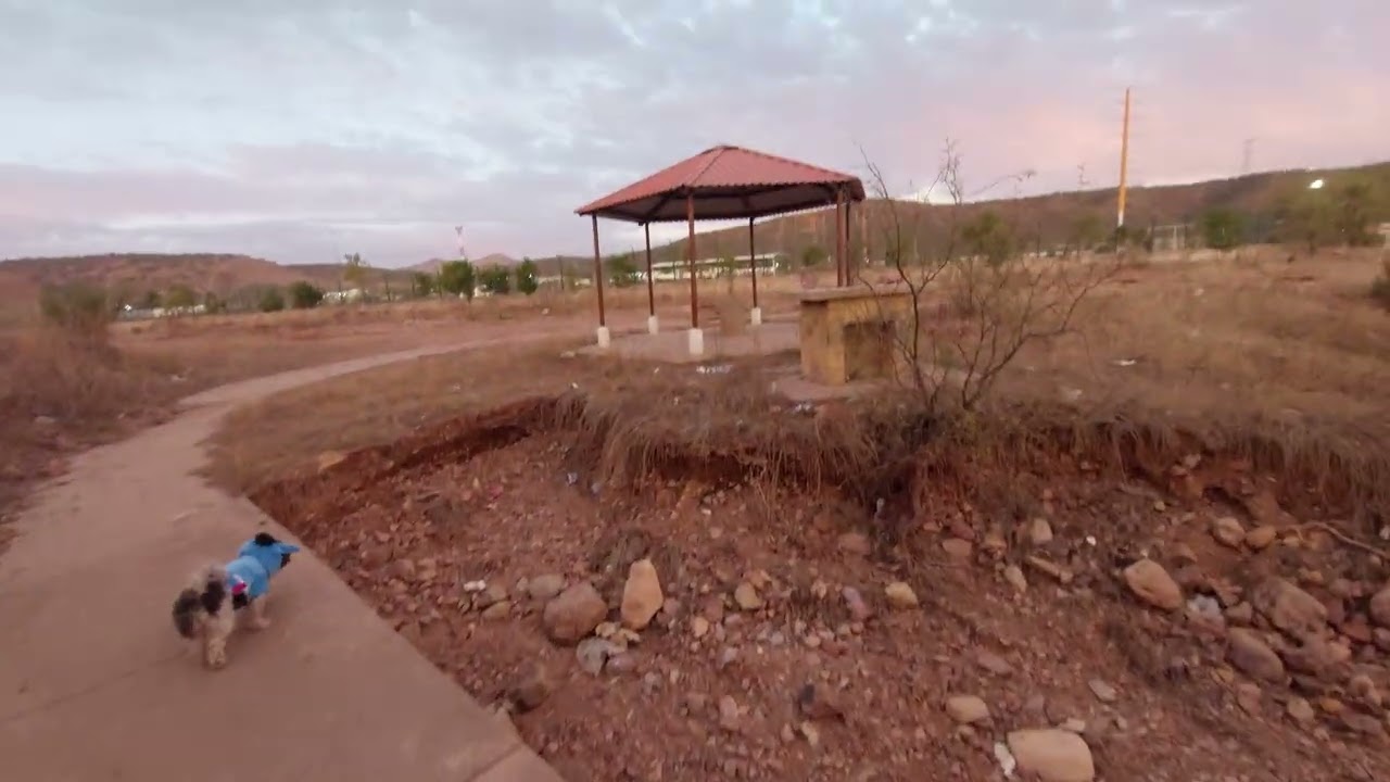 Nogales son, la mesa unidad depoativa