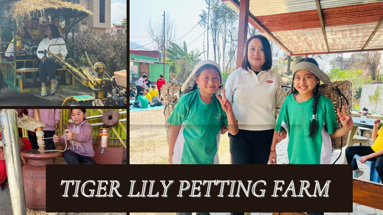 Tiger Lily Petting Farm & Hands-on Museum| Farming|Our Ancestors & Rich Local Techniques