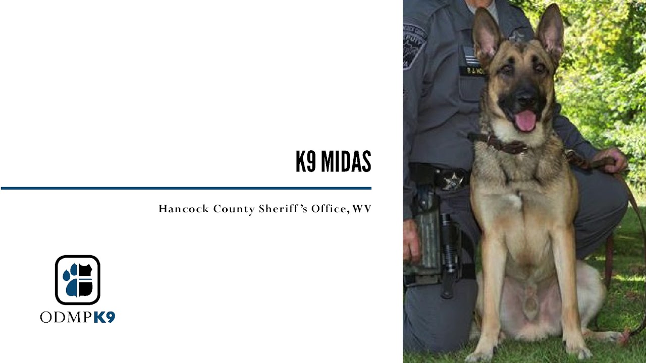 2018 K9 LODD Slideshow | 27 Canines