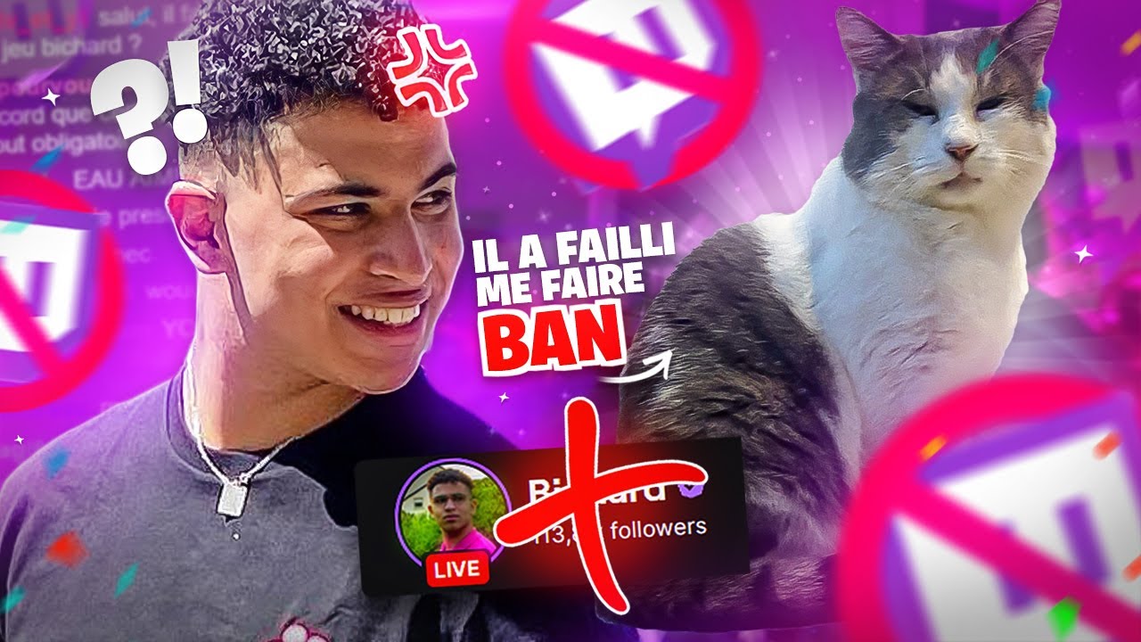 MON CHAT A FAILLI ME FAIRE BAN TWITCH (Best Of Bichard)