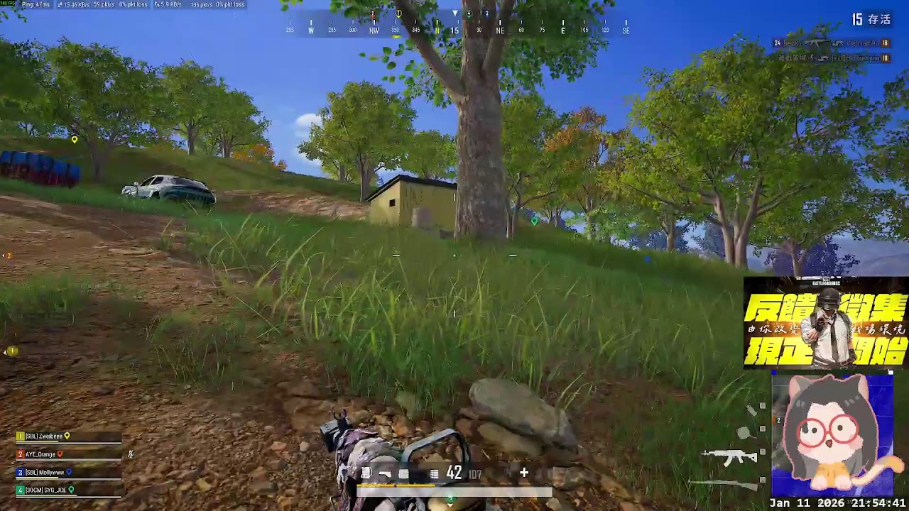 🔴又要變冷｜PUBG｜雙平台｜莫莉｜260111 @mollywww