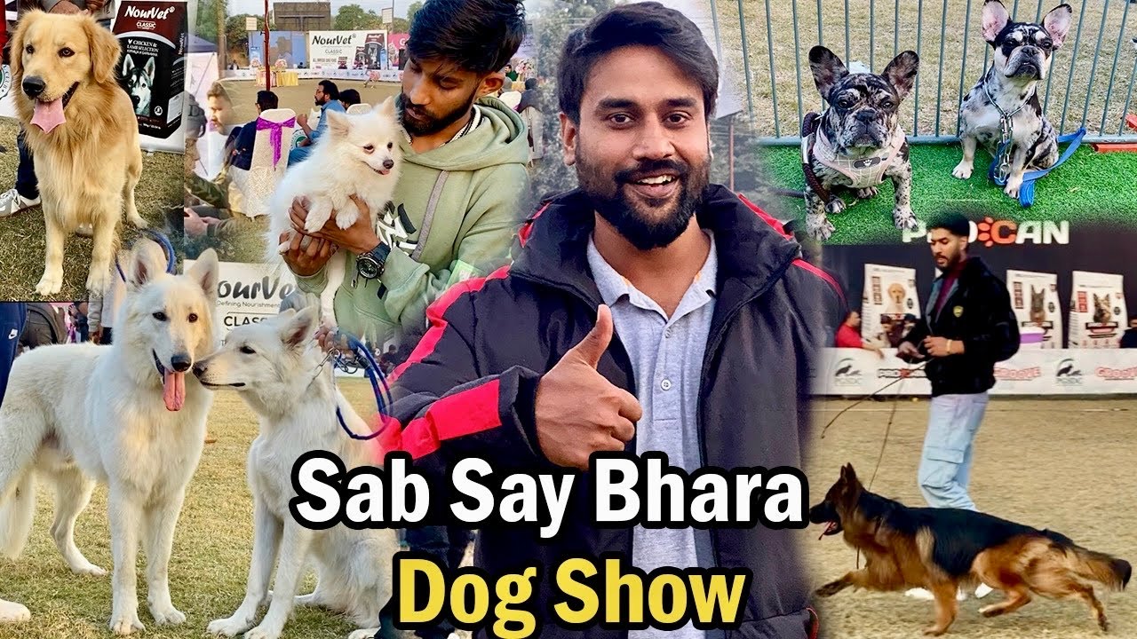 Biggest Dog Show in Lahore | PKC Dog Club | Championship Event 2025 | Dog Show 2026