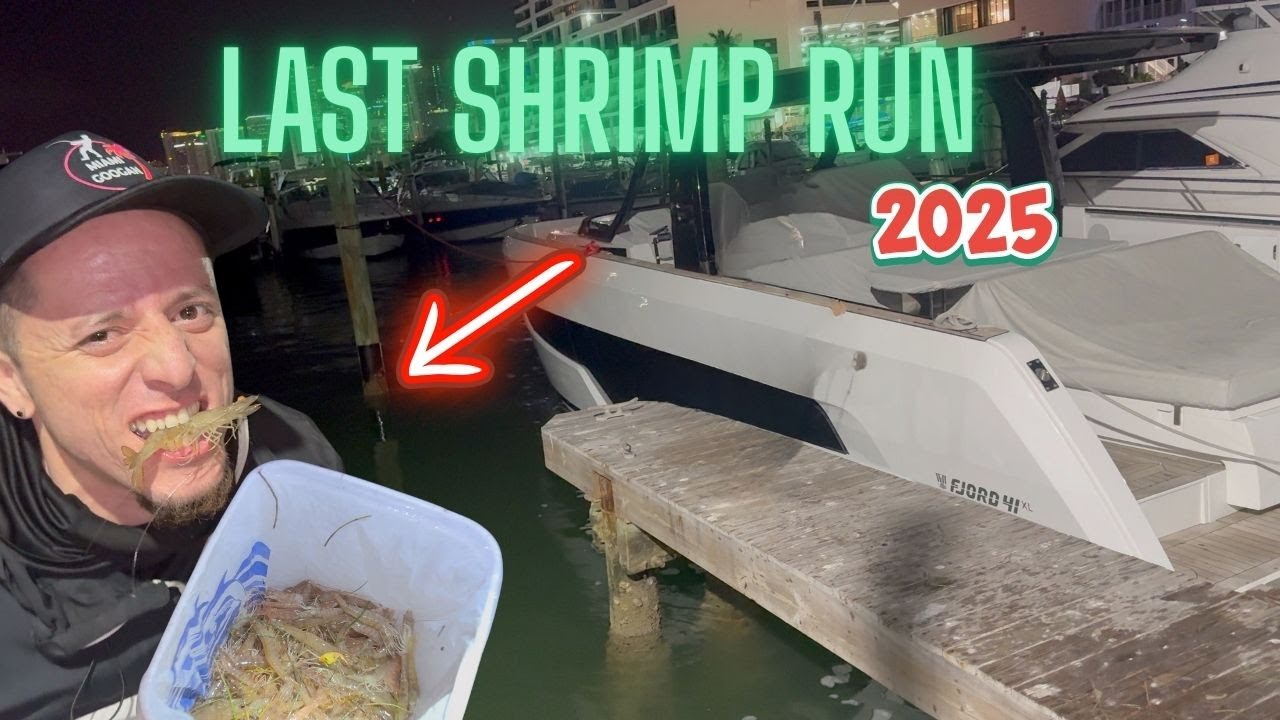 Last shrimp run of the 2025 season!