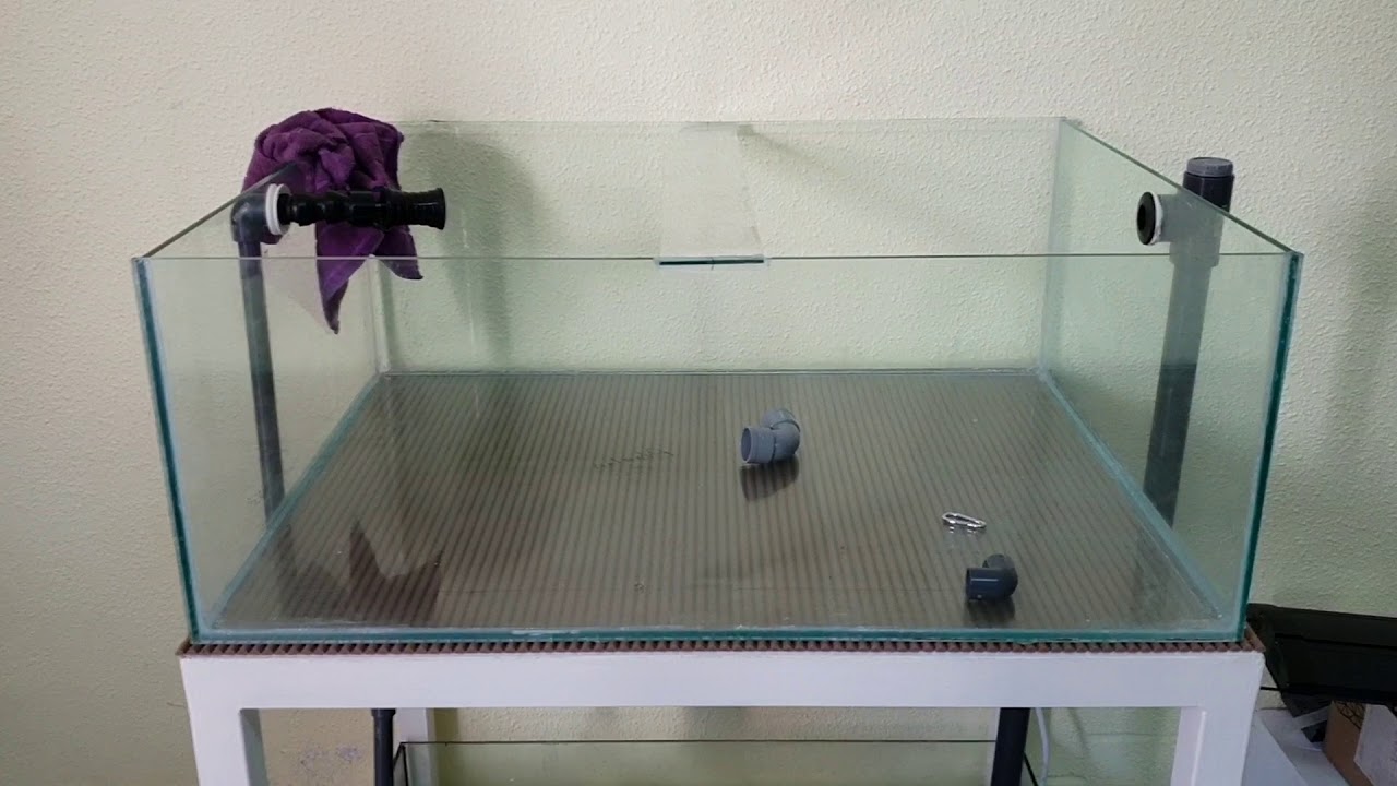 Acuario Marino Esquejero Capitulo 1