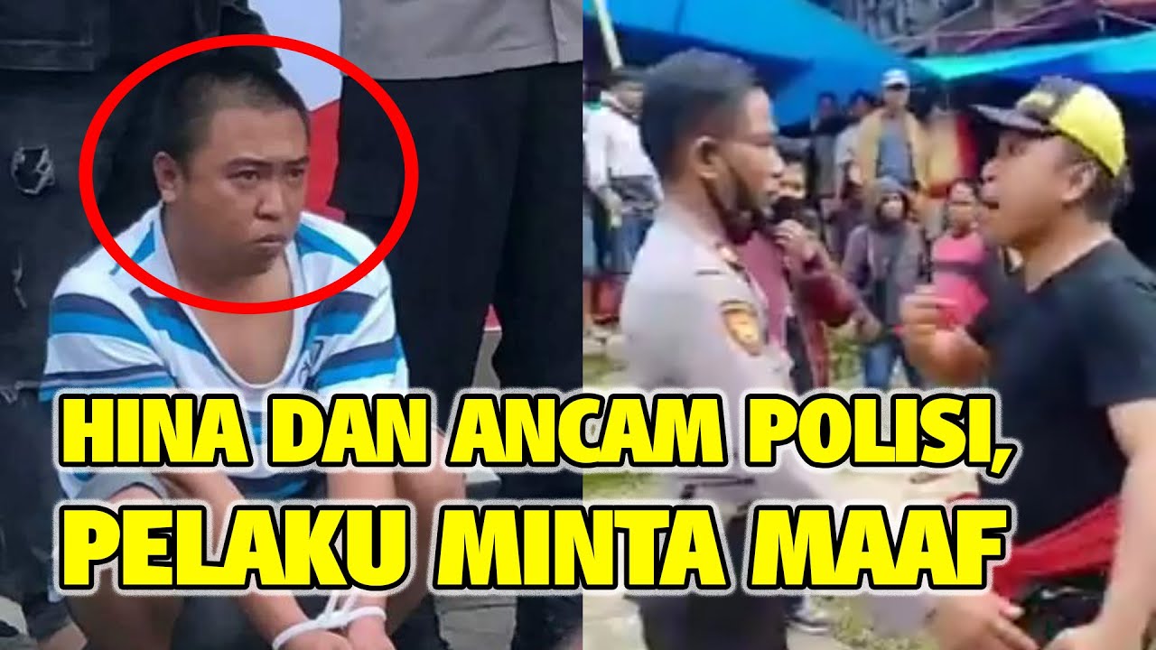 Hina dan Ancam Polisi di Depan Umum, Bandar Judi Sabung Ayam di Toraja Utara Minta Maaf
