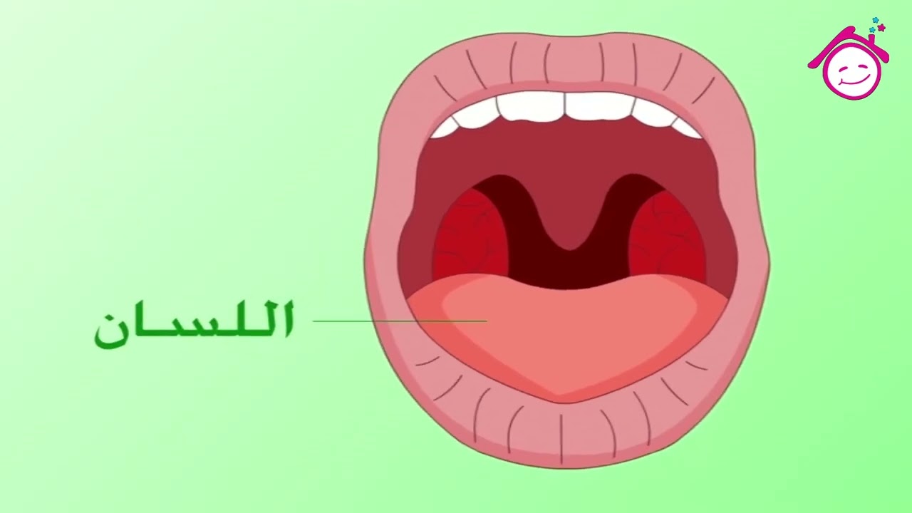 Tongue Song - Al Lessan Song | أغنية اللسان - قناة دار القمر - قناة الطفل العربي