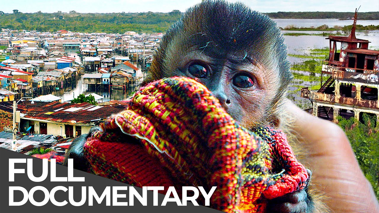 Peru's Animal Smugglers and Venezuela's Drug Crisis |&nbsp;Unreported World | Free Documentary