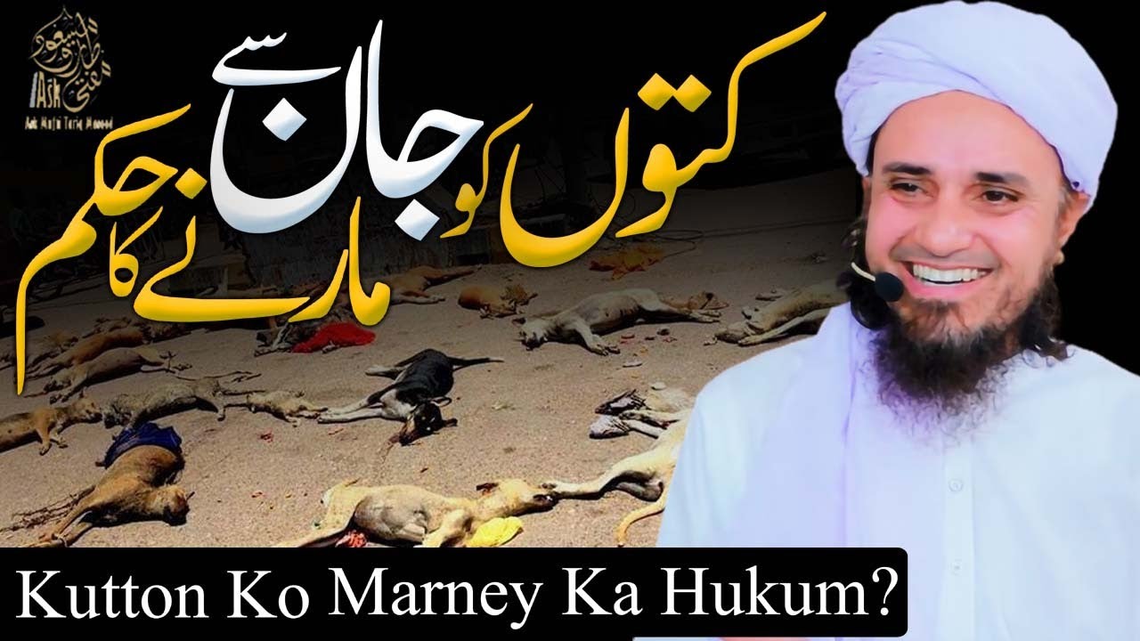 Kutton Ko Jaan Se Marne Ka Hukum | Ask Mufti Tariq Masood