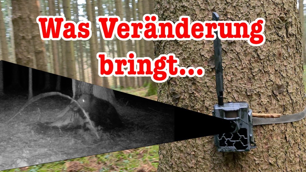 Veränderungen im Revier | Keileralarm | Secacam 5000 Explorer