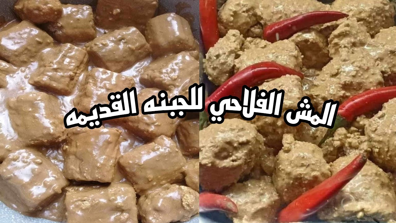 طريقه عمل المش الفلاحي الاصلي خطوه بخطوه في البيت  والجبنه القديمه من الالف الي للياء 👌