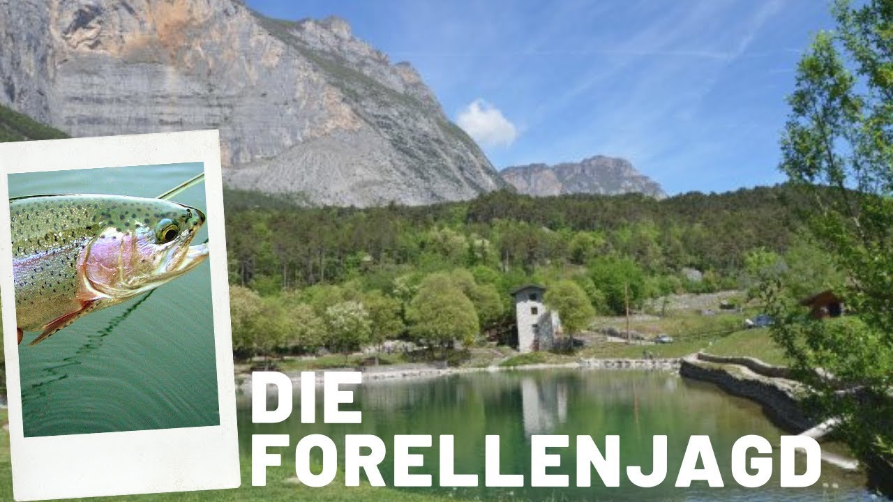 FISCH über FISCH an einem der schönsten Seen der Welt! Lago di Bagatol! Angeln| MadenBaden