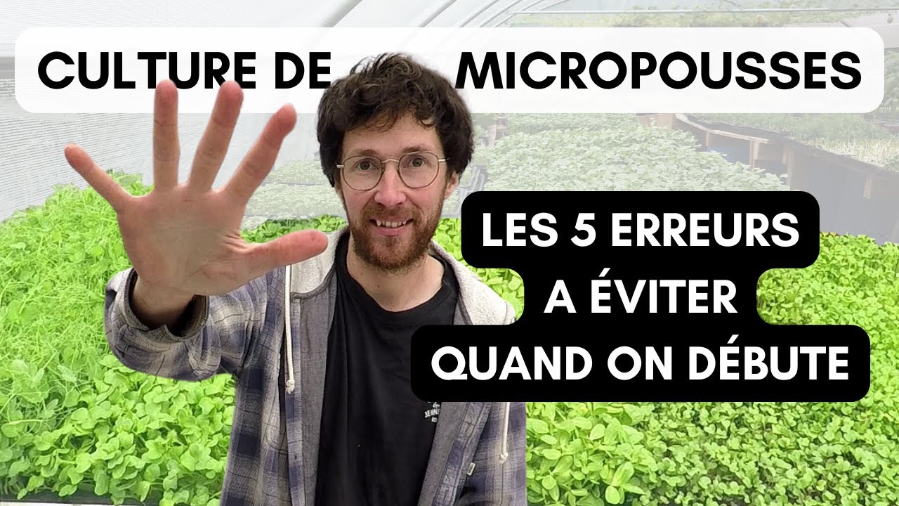 Les 5 meilleurs conseils pour débuter la culture de micro pousses