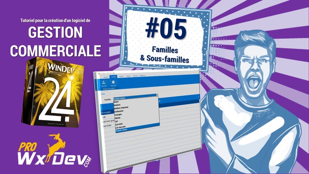 #05 - Tutoriel développement logiciel de gestion commerciale, Familles et sous-familles
