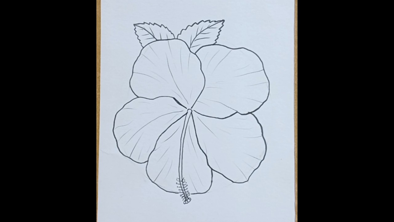 Como Desenhar Flores Hibisco com t&eacute;cnica de desenhar f&aacute;cil #art #comodesenhar #comodibujar #hibisco