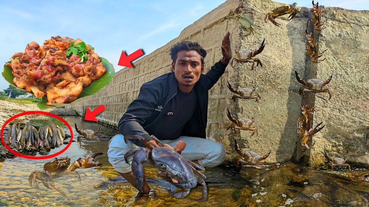 🦀Big size Crab & Snakehed Fish Catching 🔥| नंदी से पकड़े केकडे OR केकडे के पकौड़े / कड़ी ! बनाएंगे 🤤