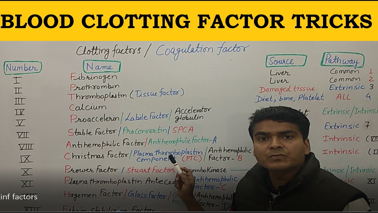 Blood Clotting Factors Tricks | Clotting Factor Mnemonics | Coagulation Factors | NEET BIOLOGY