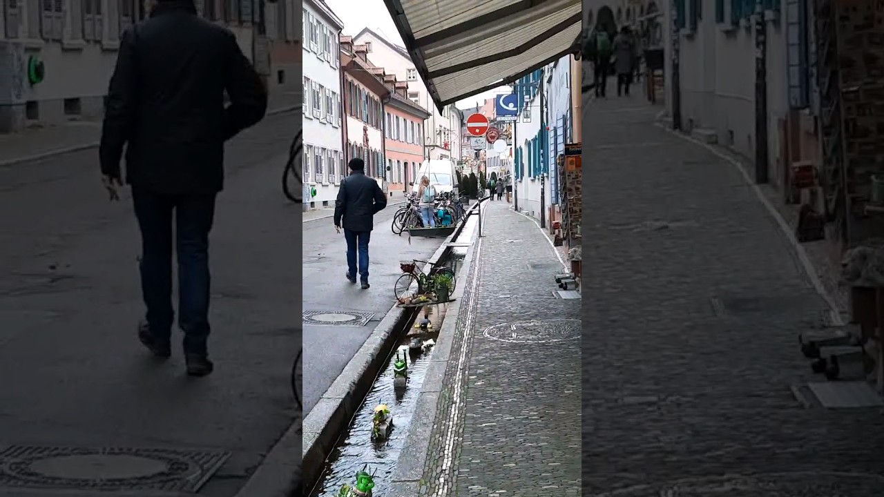 what's there in Canal 🤨🤪 #Bachle in Freiburg #viral #shorts