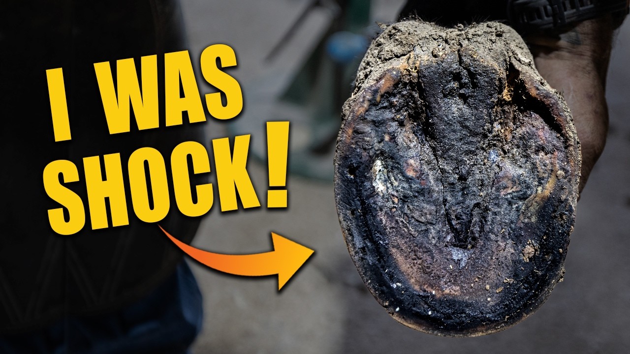What I Found Under This Hoof Shocked Me! | Full Restoration