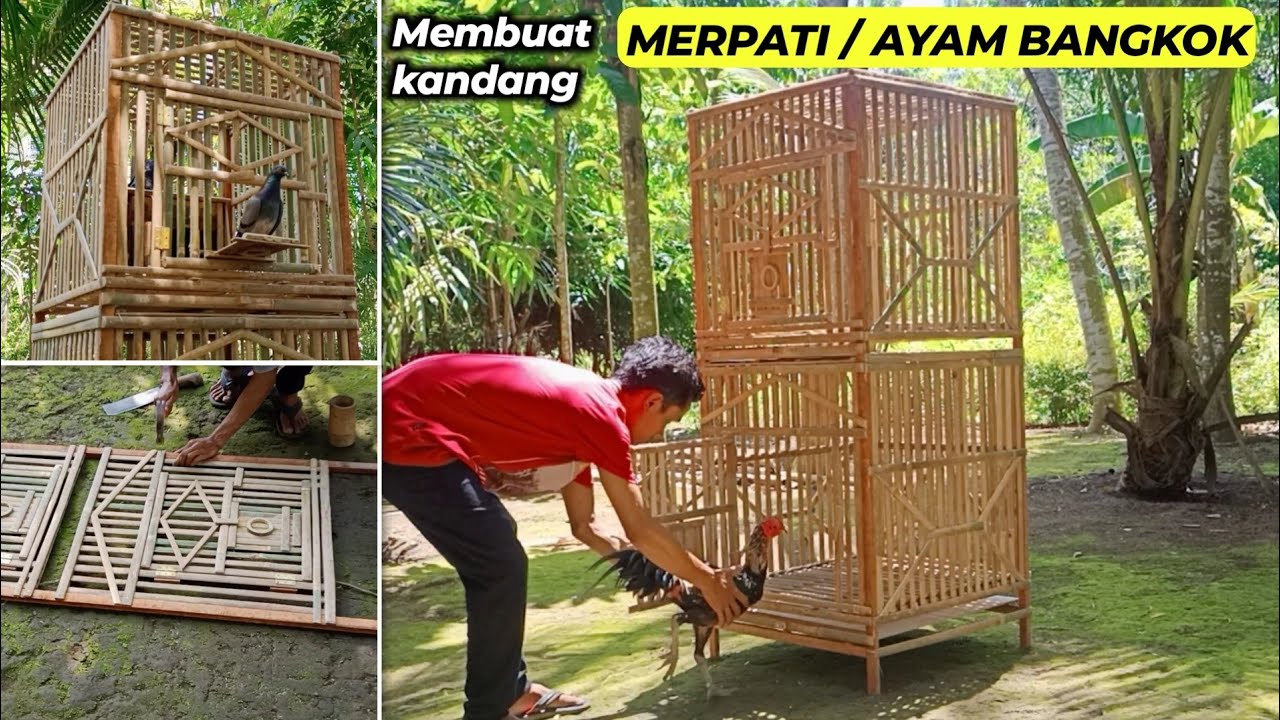 MEMBUAT KANDANG MERPATI SEDERHANA | Bisa untuk ayam bangkok juga