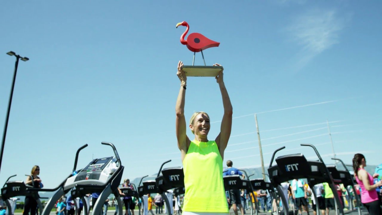ICON Health & Fitness - Code The Road