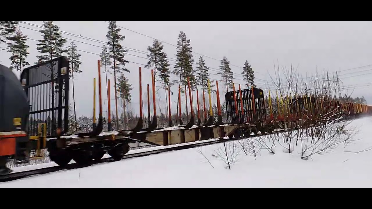 Hector Rail 243 med tomma timmervagnar  Hade/Forsbacka   20260225  kl 10.47