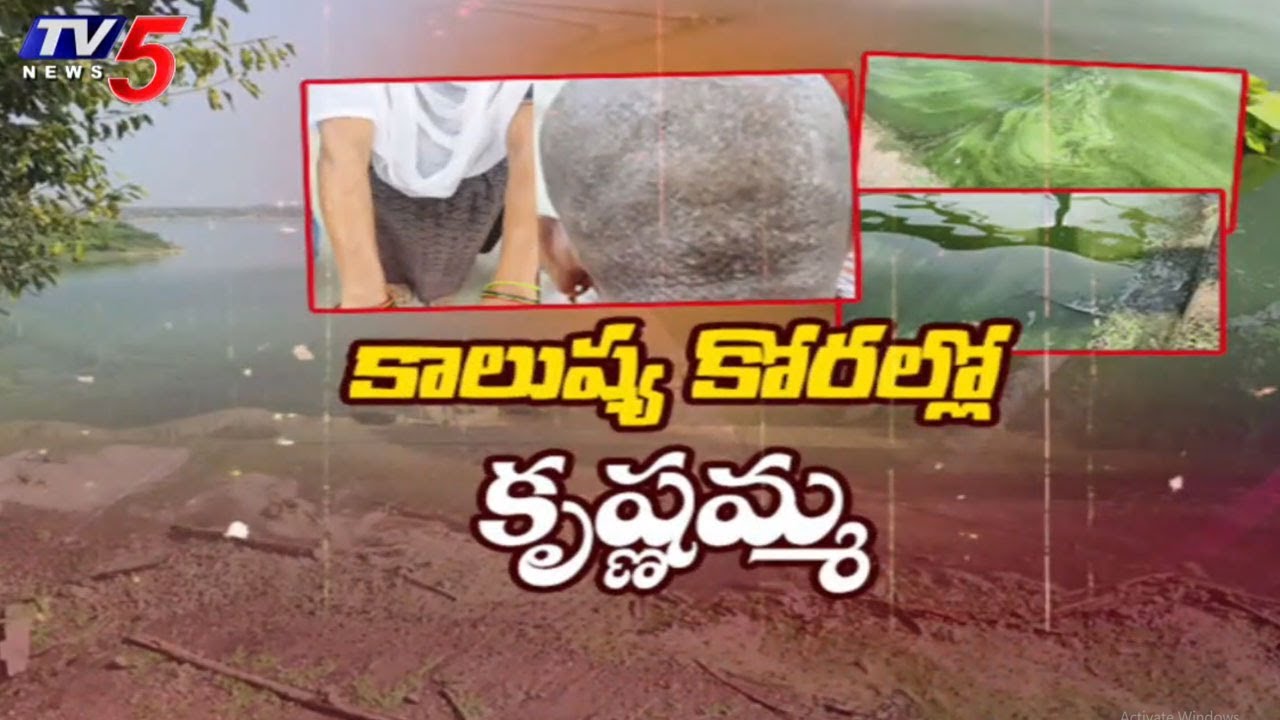 TV5 Special Report Over Krishna River Water Color Change & Turns Into Dumping Yard , Nalgonda
