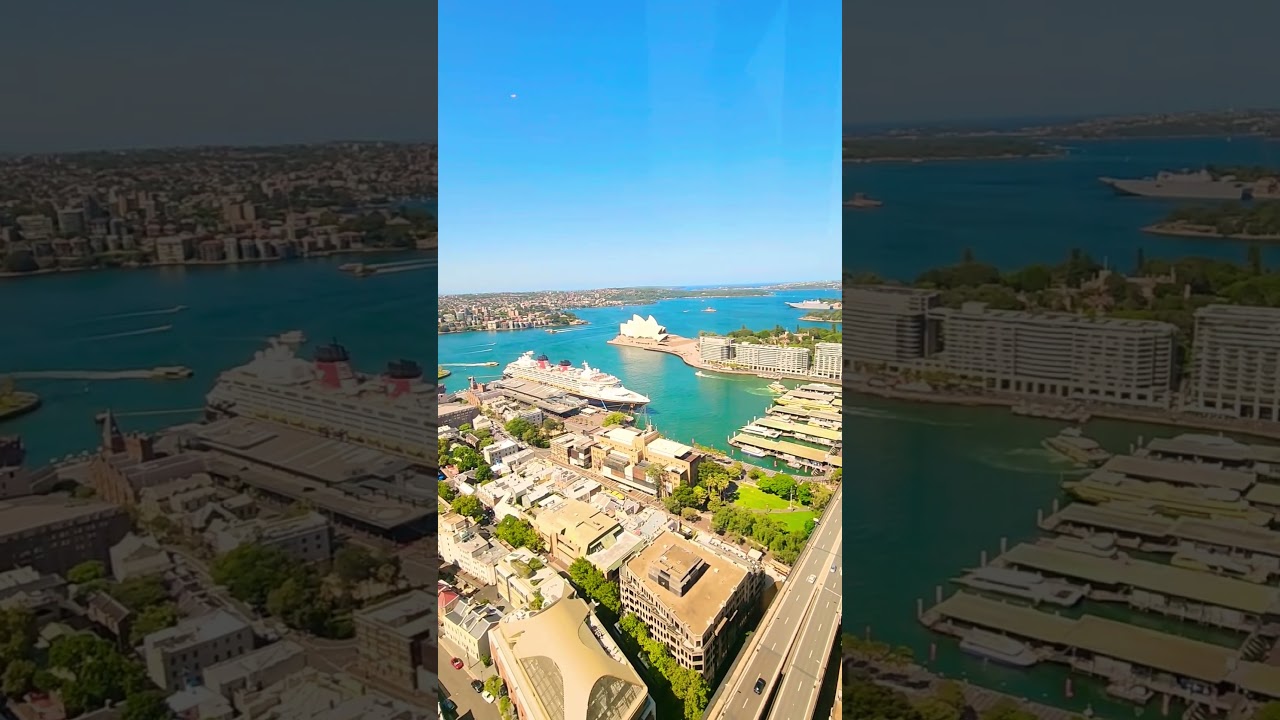 Is this the best viewpoint in Sydney? Celebrating🥂on the 36th floor at Shangri-La