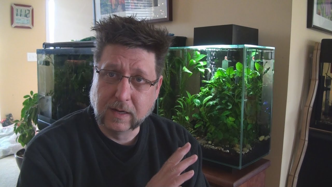 Техническое обслуживание Fluval Edge