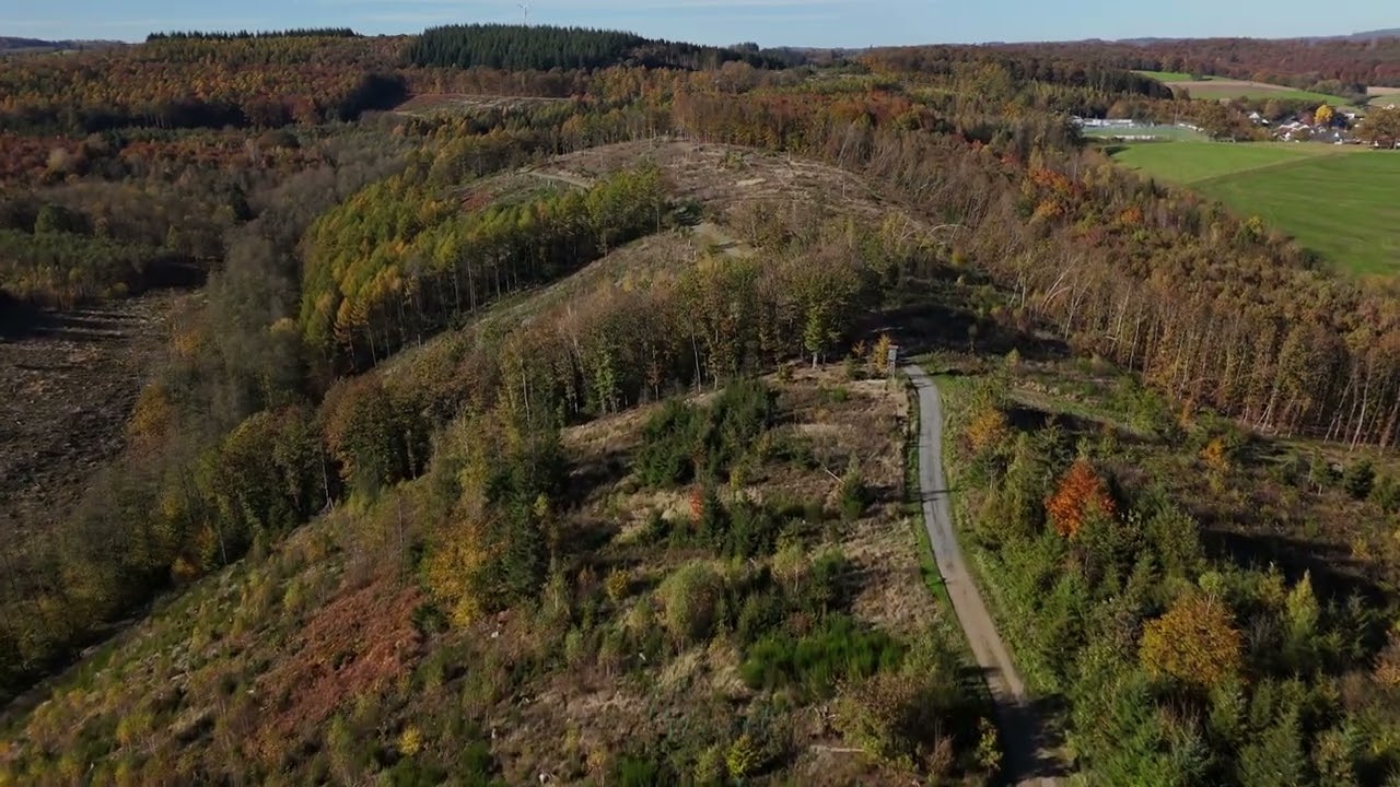 Langenbachtal Herbst 2024