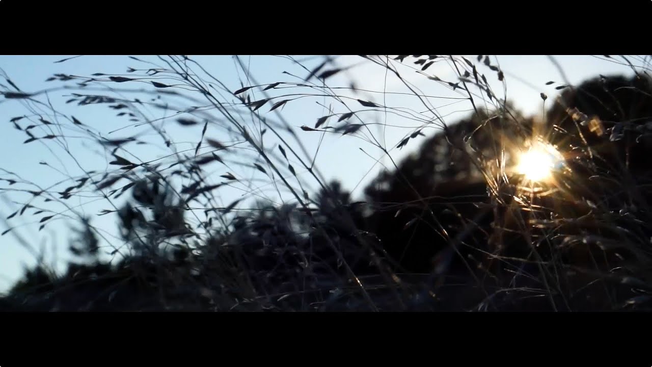VOEUX 2015 - Flex Production