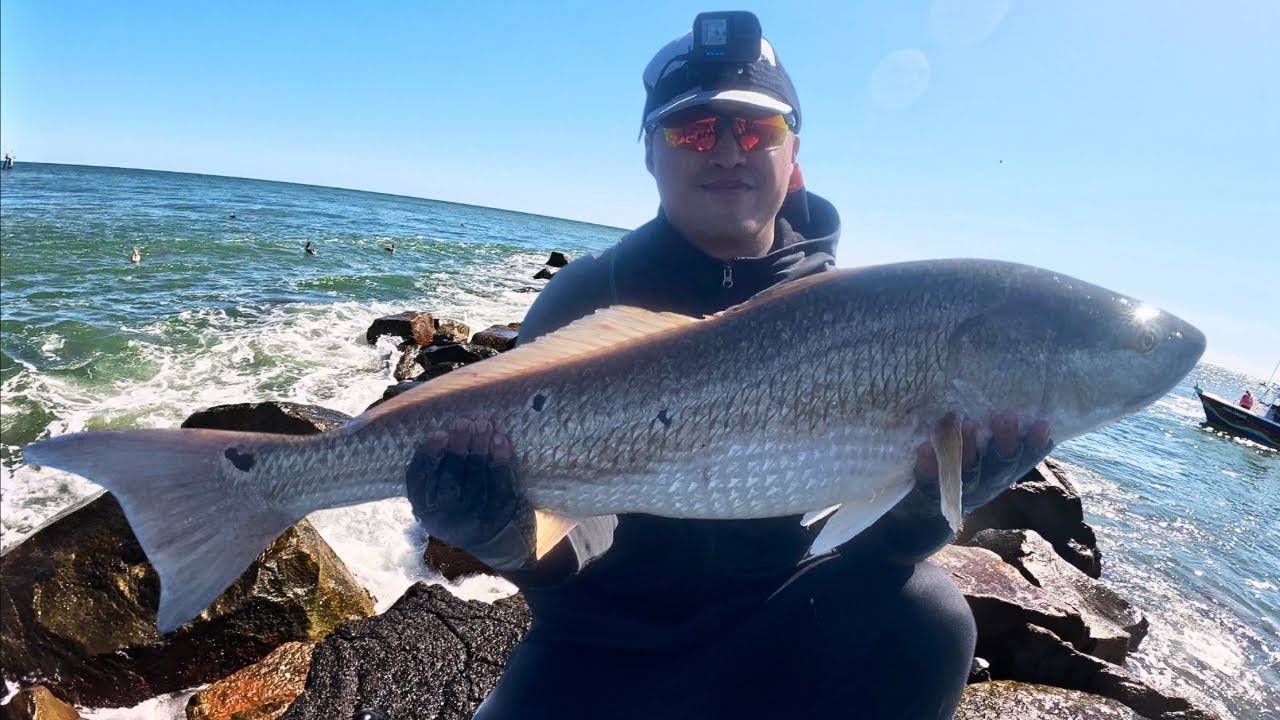 THE EPIC BULL RED DRUM BITE IS HERE! Murrells Inlet Jetty Fishing | Myrtle Beach SC