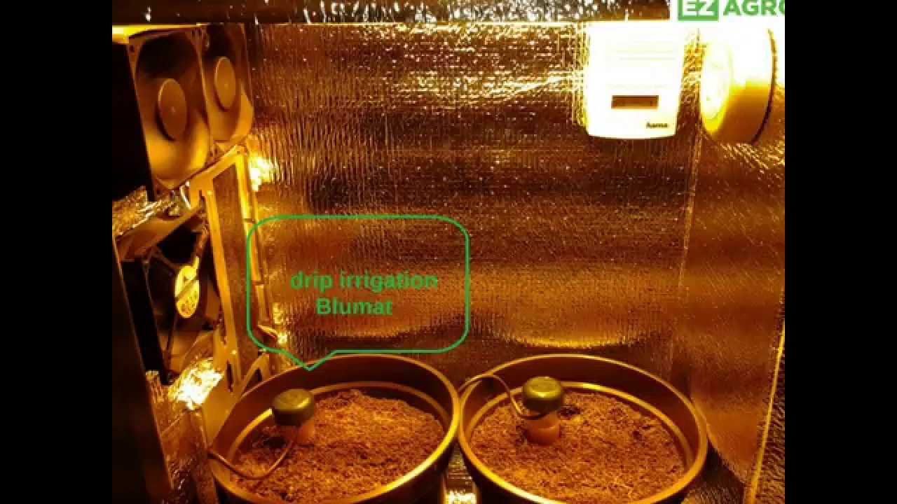 Hydroponics stealth grow box, PC grow box