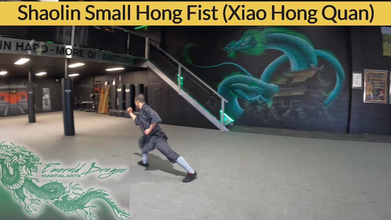 Shaolin Small Hong Fist (Xiao Hong Quan) | Performed by Alvis at Emerald Dragon Martial Arts