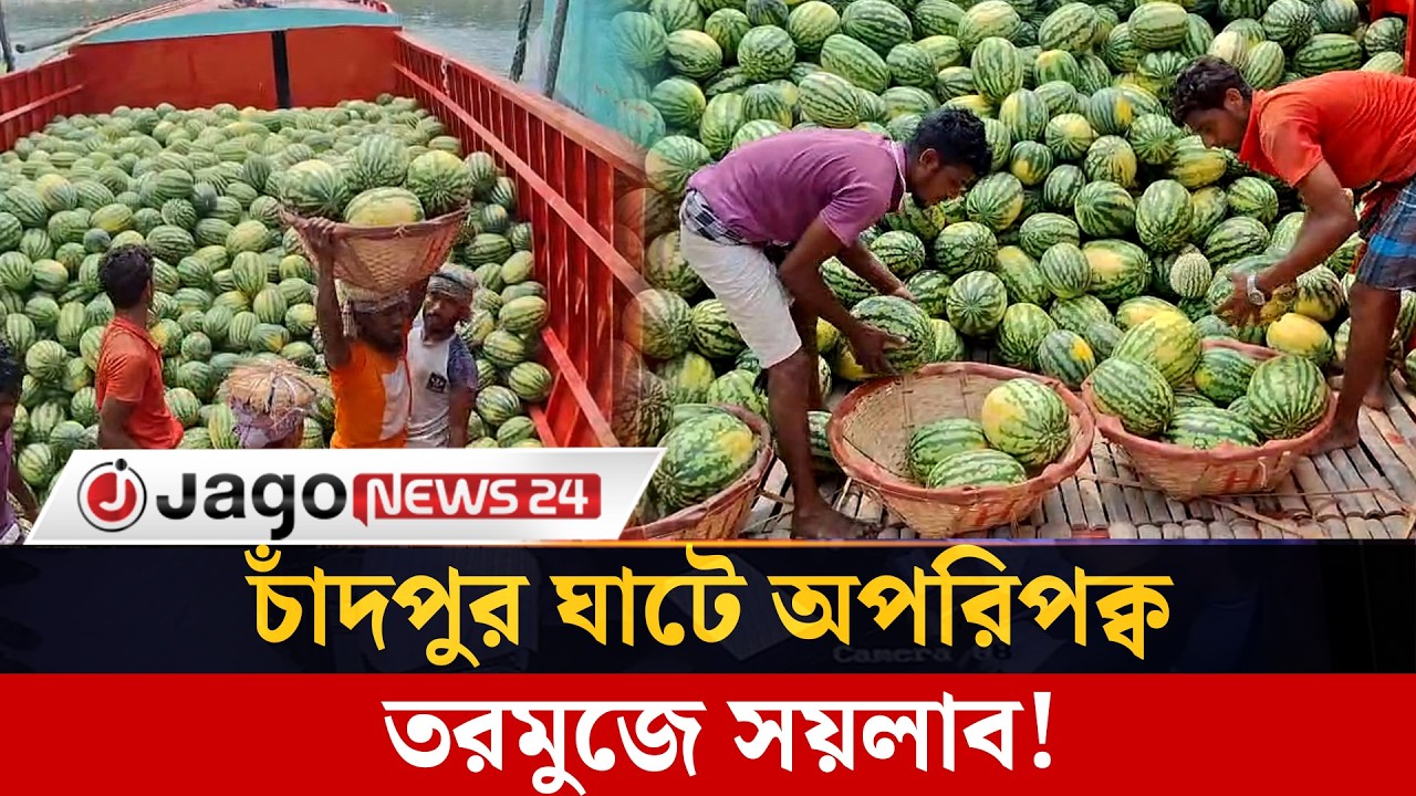 চাঁদপুর ঘাটে আসছে অপরিপক্ব তরমুজ, যাচ্ছে দেশের বিভিন্ন প্রান্তে | chandpur | water melon  | JagoNews