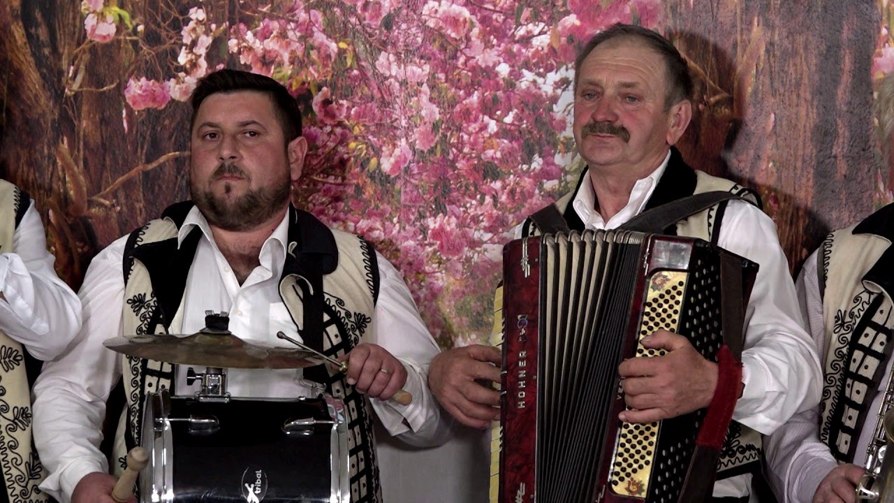 Grupul folcloric Motii din comuna Vata de Jos -  Suita orchestrala
