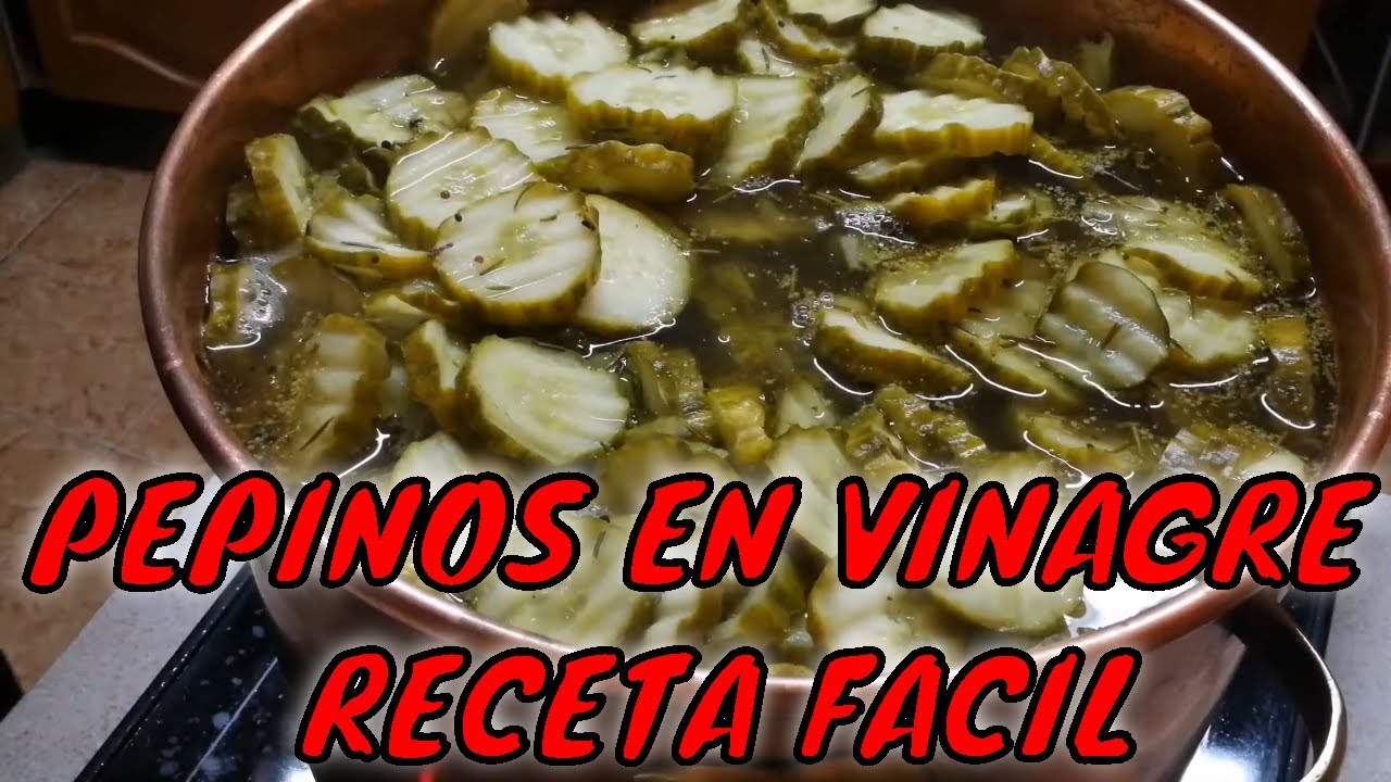 💢💢💢COMO SE HACEN LOS PEPINILLOS EN VINAGRE CASEROS💢pepinos agridulces receta casera💢💢